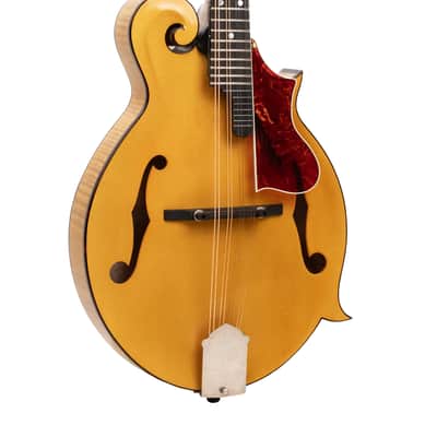 Gold Tone Grandmaster Elite Old Swiss/Italian Spruce Top 8-String Mandolin w/Hard Case image 1