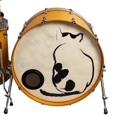 Used Ludwig Neusonic Pro Beat Golden Slumbers 13, 16, 24 image 4