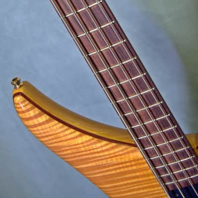 Alembic Epic 4 2004 Maple Flame top image 5