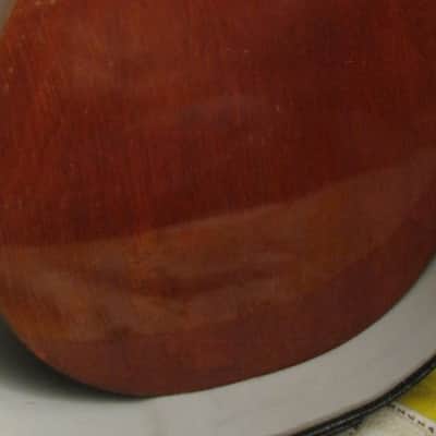 Penn by The United Guitar Company A Style Mandolin image 4