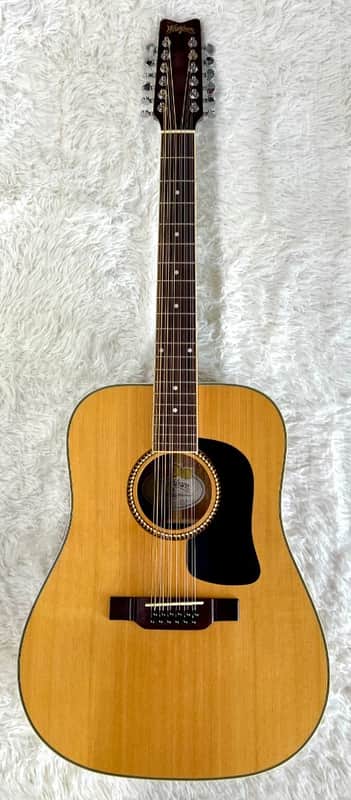 Washburn D10S12 12-String Acoustic Guitar w/ Fender Hardshell Case – Very Nice