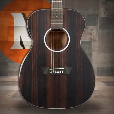 Washburn DFEFE-A Deep Forest Folk Acoustic/Electric Guitar - Striped Ebony (DFEFE-A-U) image 1