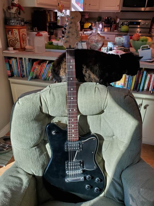 Fender Deluxe Series Toronado | Reverb