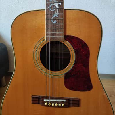 Washburn D95LTD 1995 image 3