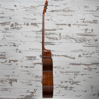 Manzer Baritone "Pat Metheny" image 7