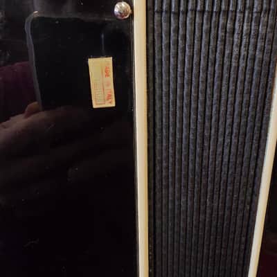 Bertini Piano Accordion 41/120 The RIVA No. 660 W Original Case And Straps image 9