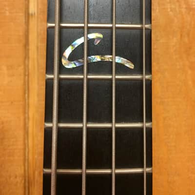 Peavey Cirrus Tiger eye USA image 8