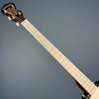 Custom Deering Artisan Goodtime Special 19-Fret Tenor Openback Banjo image 10