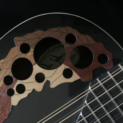Adamas MELISSA Etheridge Signature Model 12 strings image 2
