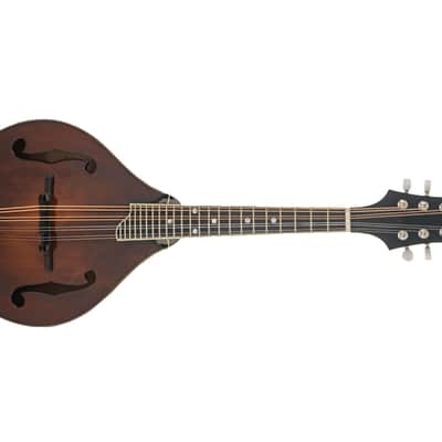 Eastman MD505 Mandolin #N2500813 image 5