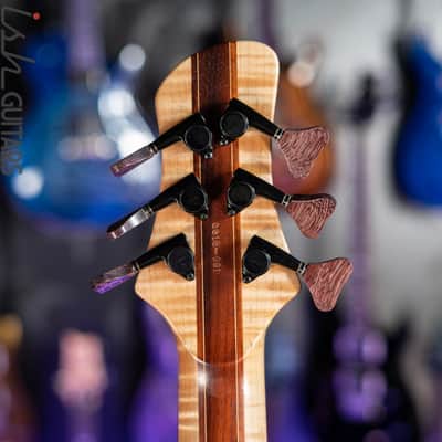 Shawn May Custom Rainbow 6-String Short Scale Bass image 15