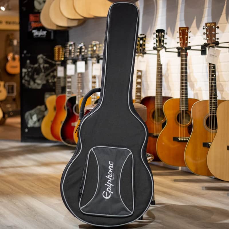 Epiphone Casino/ES-335 EpiLite Case image 1