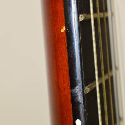 D. Catala Guitarras GO-50 Classical Acoustic Guitar w/ Hardshell Case image 9