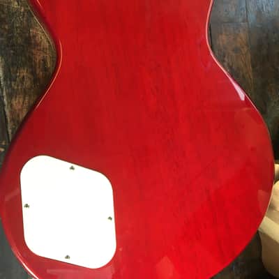 Samick Greg Bennett Avion image 7