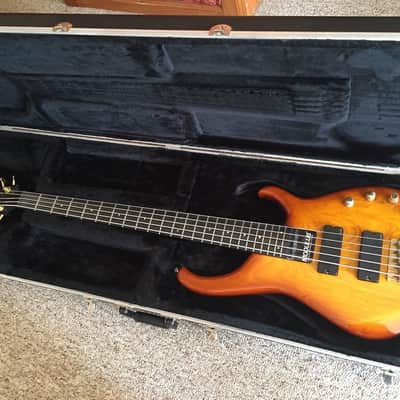 Modulus Hardshell Case for Quantum/Flea bass image 2