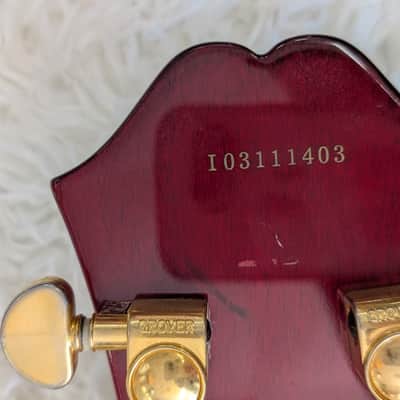 Epiphone Dot Deluxe Flame in red with an Epiphone hardshell case -Vintage Cherry image 10