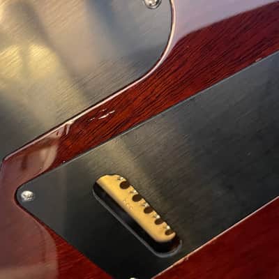 PRS DGT David Grissom Tremolo Signature 2024 Tobacco sunburst image 10