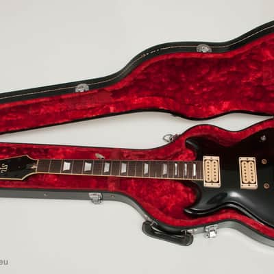 Vintage 80's Aria Pro II Hardcase for TS and RS Models image 18