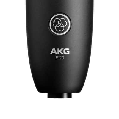 AKG P120 Large-Diaphragm Condenser Microphone (P120-U) image 2