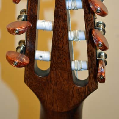 Breedlove Pursuit Nylon Electric image 6