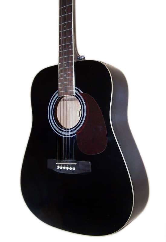 RARE Tyler Mountain TM10-BK Late 90's-2000 Acoustic Guitar VG Condition w/Gigbag image 1