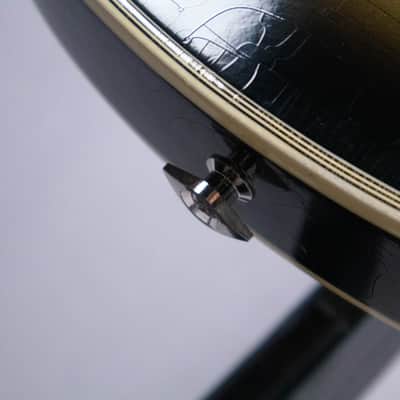 Gibson Les Paul Adam Jones V2 Signed and owned by Adam Jones image 16