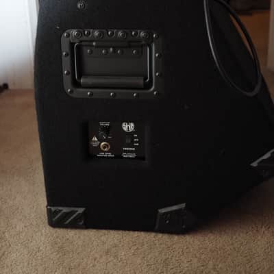 SWR WorkingPro 12 200 Watt 1x12