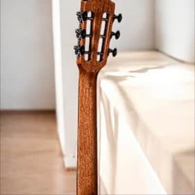 Teton STP180DVB Spruce/Ebony Parlor â€“ Vintage Vibe, Modern Tone! image 7