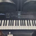 Roland D-20 61-Key Multi-Timbral Linear Synthesizer / Multitrack Sequencer 1988 - 1992 - Black