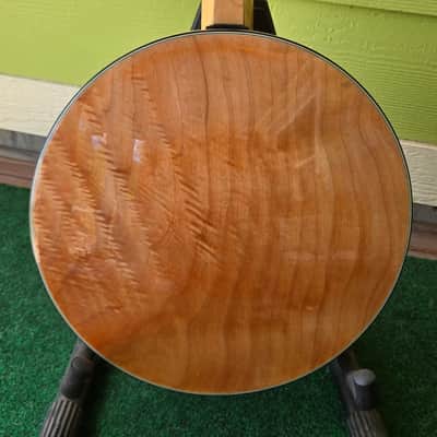 Suzuki MC-836 Mandocello / Mandoloncello | Reverb