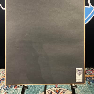 Stan Lynch The Mavericks, What A Crying Shame, RIAA, Platinum Record (#22) image 9