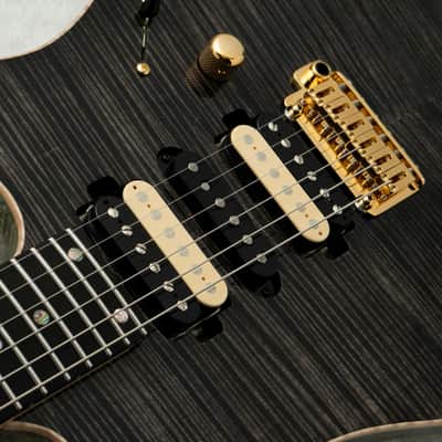 T's Guitars DST Pro 24 -Trans Black w/Antique Gold Wrap Back- 2026