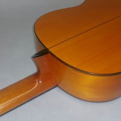 2015 Salvador Castillo Blanca Concert Flamenco Guitar w/ HSC image 9