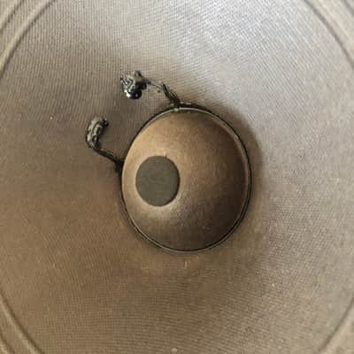 Sunn Model 118 8 Ohm 12” Doom Guitar Speaker from Beta Lead Combo image 2