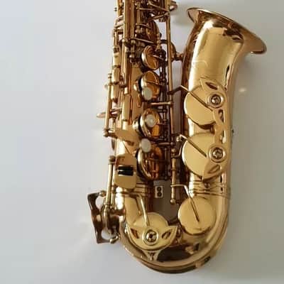 Alto Saxophone - Sax in Eb Gold Finish & Soft Case Complete Outfit By Chase~ image 2