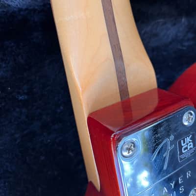 Fender Player Plus Nashville Telecaster 2023 - Present - Sienna Sunburst image 15