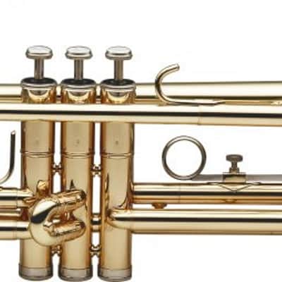 Stagg Bb Trumpet W/abs Case Gold Lacquer W 1st Slide Saddle & 3rd Slide RingĀ 2 Year Warranty image 2