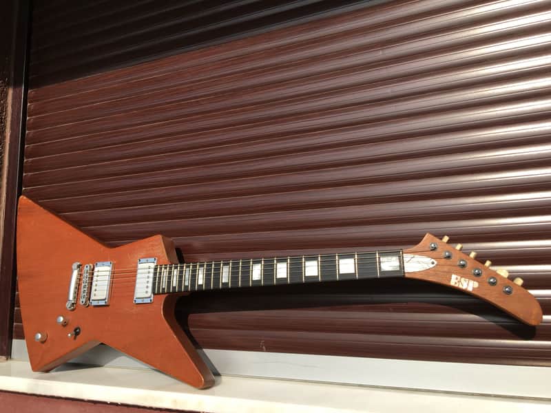ESP Mx-250 Custom Order Block Inlays Explorer with EMG HET SET Mx250 image 1