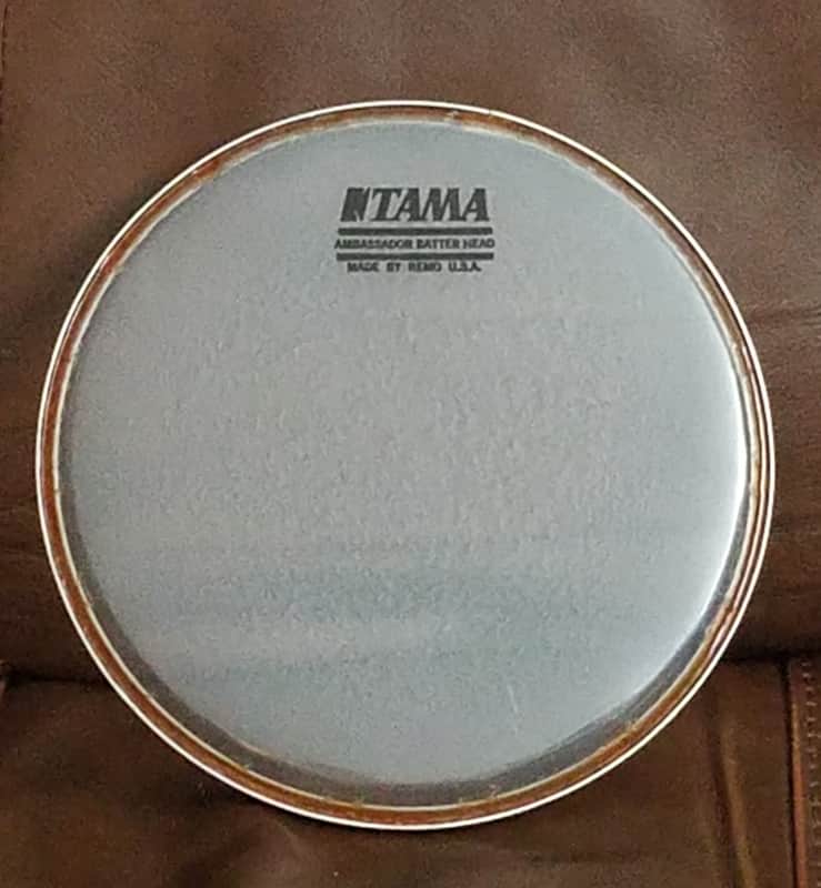 Never Hit! Tama 1980s 1990s ORIGINAL TAMA 8" INCH CLEAR DRUM HEAD LOGO VINTAGE drumhead image 1