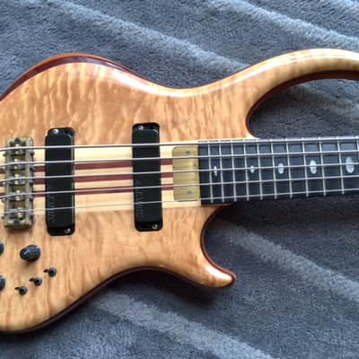 Alembic Roque 5 image 2