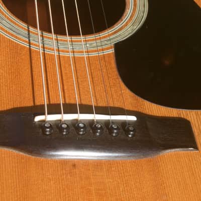 1975 Yairi YW-600 Dreadnought Guitar New Jacaranda Natural+Vintage Flight Case image 16