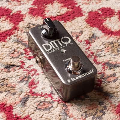 Immagine TC Electronic Ditto Looper #S180703973DD4 Second Hand - 2