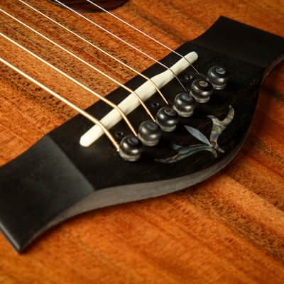 Taylor PS12ce 12-Fret - Honduran Rosewood/Sinker Redwood image 19