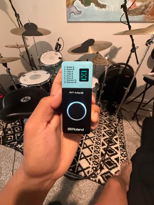 Roland RT-MicS Mic Trigger Processor