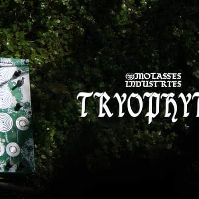 Molasses Industries Tryophyte 2020 Green image 2