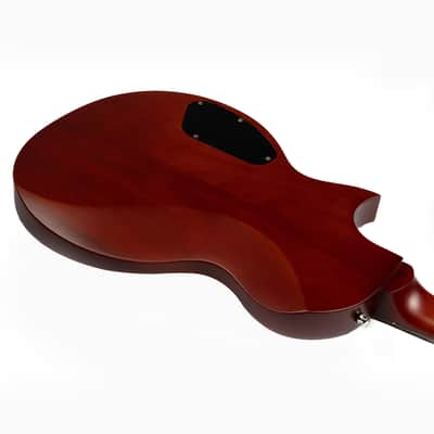 Eart EGLP-610, Roasted Mahogany Solid Body, 3-Way Switch 1 Tone 1 Volume,22 Stainless Steel Frets, Honey Tea image 5