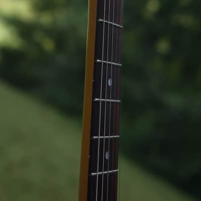 Tokai Goldstar Sound image 10