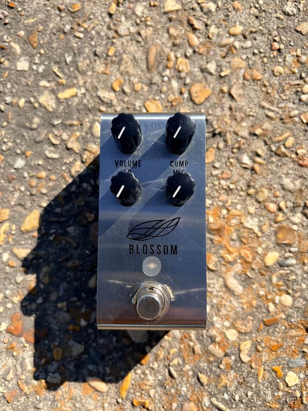 Jackson Audio Blossom