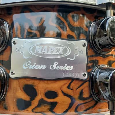 Mapex Orion 2008 - Chocolate Burl image 16