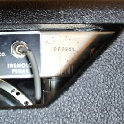 Fender Black Label Tuxedo 1964 image 7